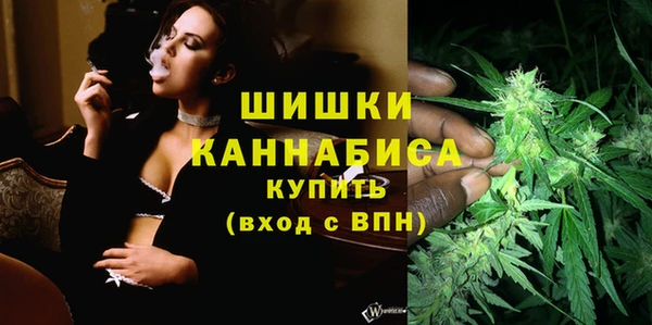 mdpv Новодвинск