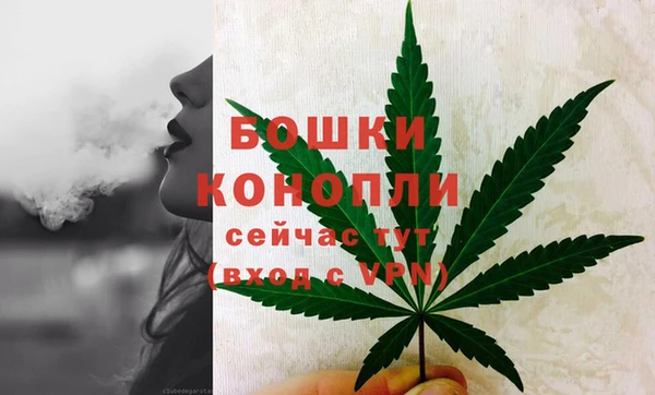 mdpv Новодвинск