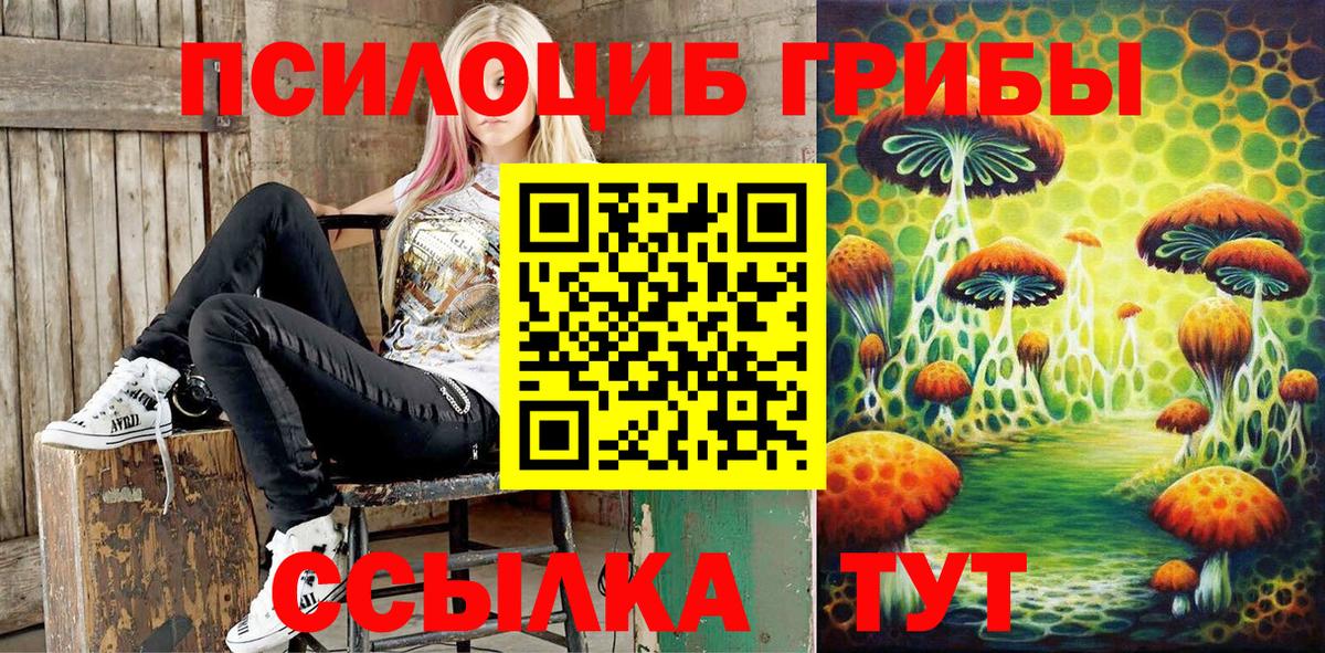 Псилоцибиновые грибы GOLDEN TEACHER Усть-Лабинск